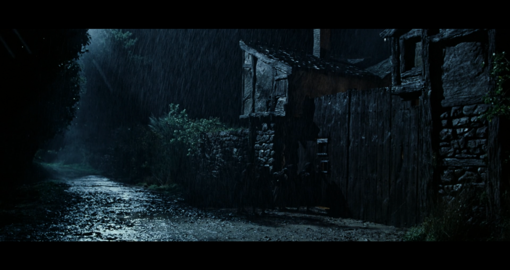 The main street of Bree at night